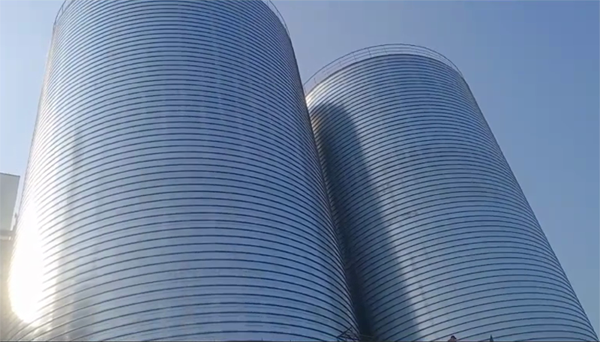 维西2座混凝土高架卷板仓